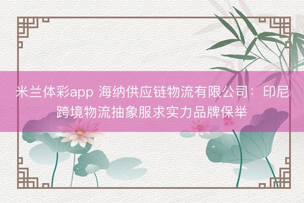 米兰体彩app 海纳供应链物流有限公司：印尼跨境物流抽象服求实力品牌保举